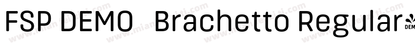 FSP DEMO   Brachetto Regular字体转换